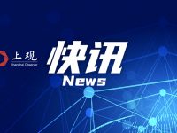 上海五個新城推進“轉段”：今年首批40個重大項目集中開工，投資破千億元