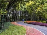 打通146個斷點，“十四五”上海環城生態公園帶外環綠道全面貫通