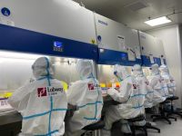 復工復產中的上海生物醫藥企業：抗腫瘤藥產線已恢復，檢測機構備戰報復性增長