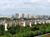 注意！6月1日土拍重啟、規則有變！