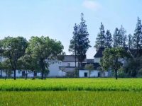 沒在疫情中倒下的那些商業店面，為何有了到郊區鄉村投資的打算？