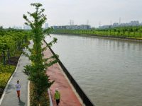 松江九亭建設“文化景觀河”，提升河道觀賞性，注入文化內涵