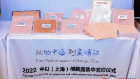 涉及全球首款新冠病毒滅活口罩研發升級等，一批新企業入駐中以（上海）創新園