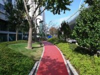 中環“植物綠帶”留下“淞滬記憶”，汶水東路綠化景觀提升后全新亮相開放