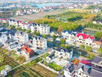 上海合興鄉村振興產業示范園正式啟用，已有20多家企業入駐