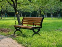 上海打造公園城市，2025年底有1000座公園，除了數量還有哪些看點？