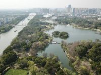 上海又一重要發展地區向全球征集方案，打造大都市江南水廊發展帶