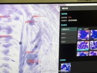 中國怎么打造自己的品牌？這些上海新老企業說“創新力就是生命力”