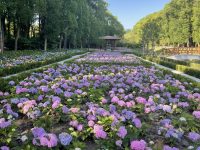 建成開放并非結束，市民群眾當考官，首批6座環上生態公園“小考”結果公布