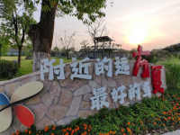 青浦這個村，把村部小樓讓給了創新中心，背后原因是……